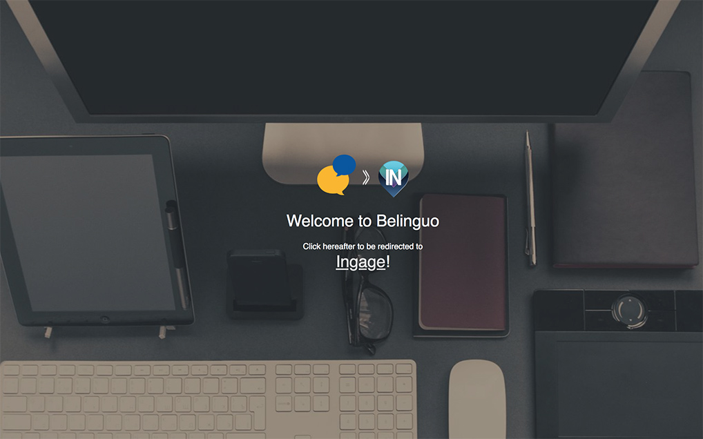 Full focus on INSURANCE!