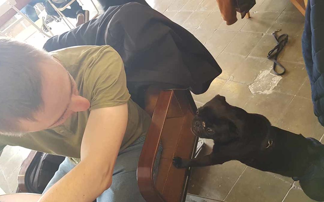 Teamwork and knowledge sharing