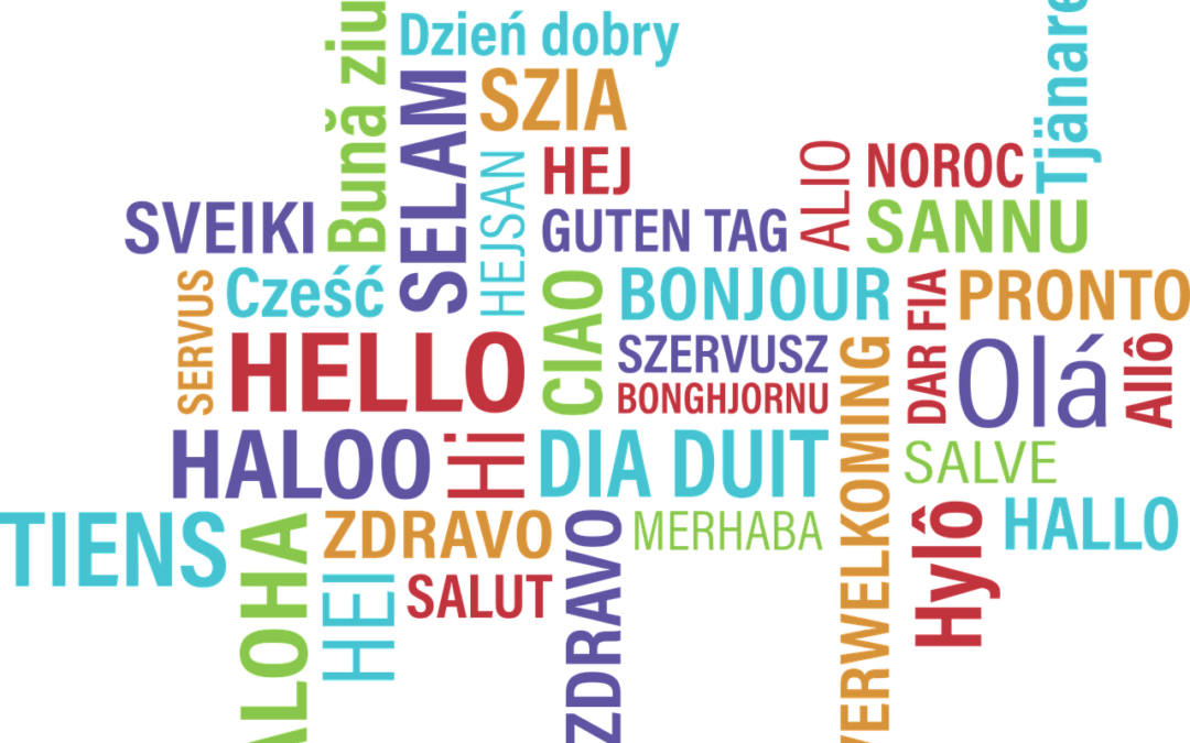 The Polyglot Kit for Insurance Professionals