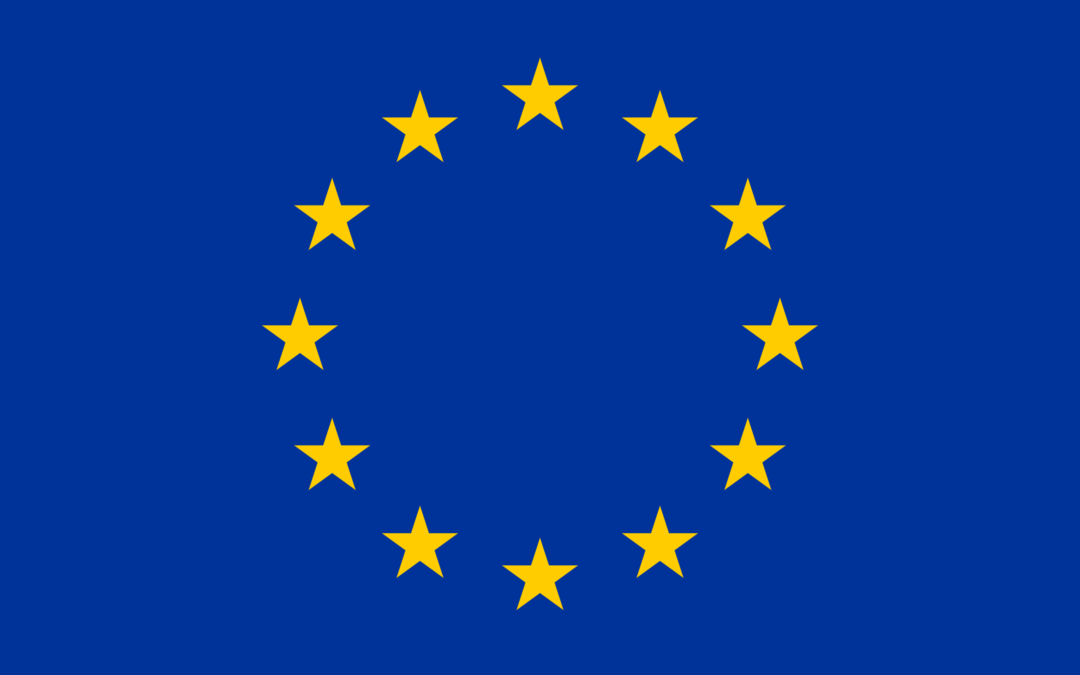 Europäische Verbände und Netzwerke der Erwachsenenbildung