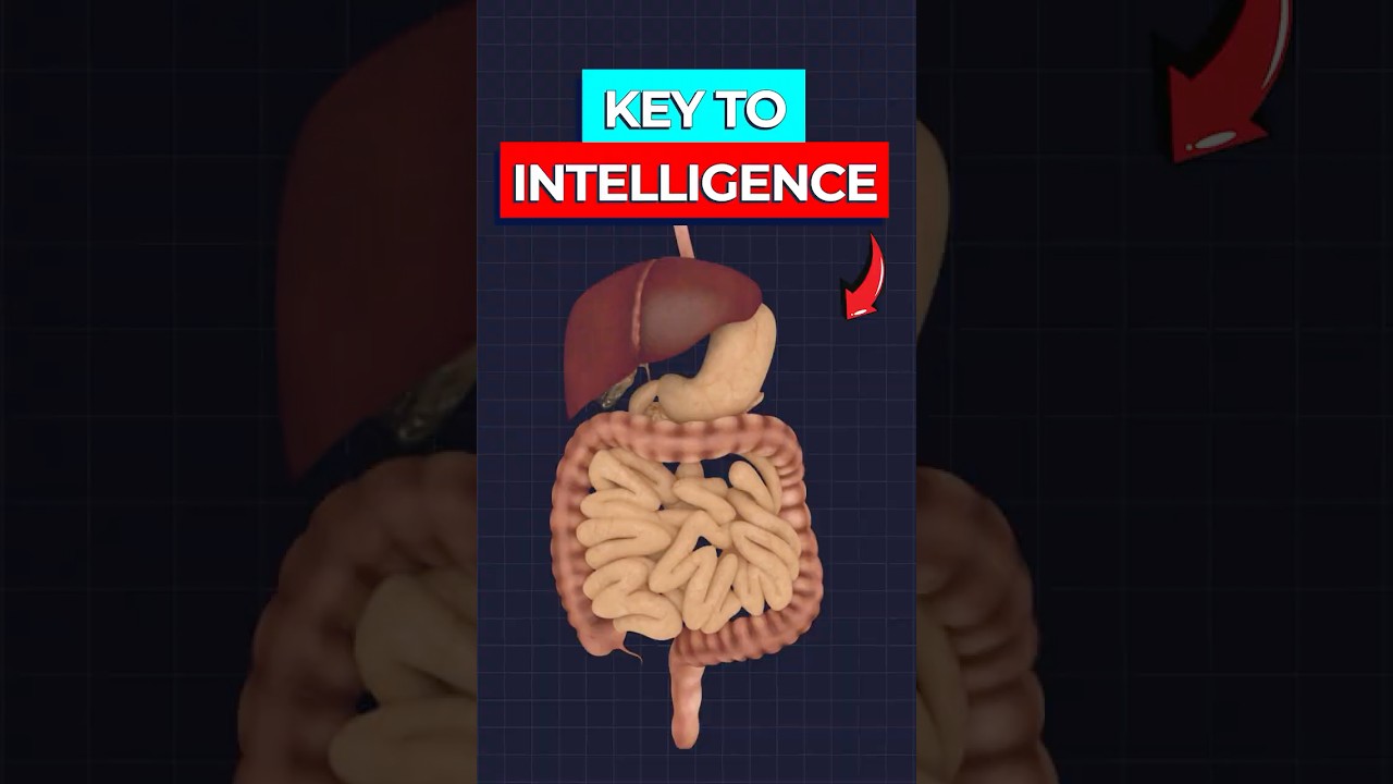 Cognitive Risks Microbial Origins